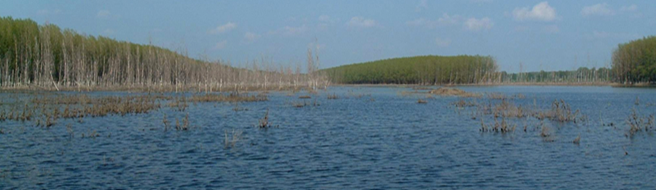 Figure 1. Lake Anyita with water cover.