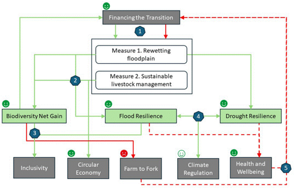 Figure 2. Schematic diagram of the interactions inferred from available evidence for Case Study 09